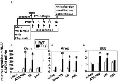 Mechanisms for Alternaria alternata Function in the Skin During Induction of Peanut Allergy in Neonatal Mice With Skin Barrier Mutations